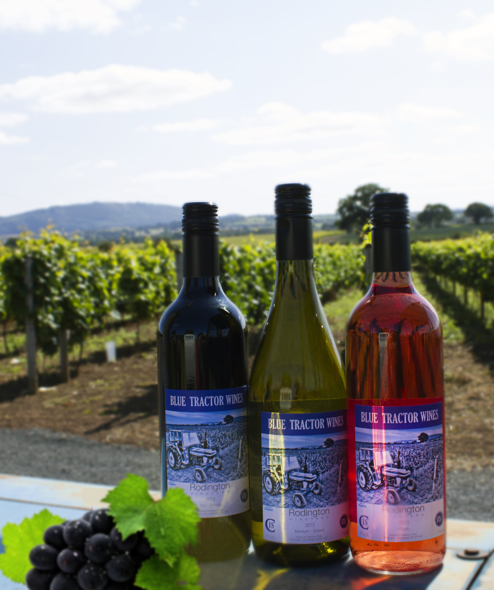 About us / Visit Rodington Vineyard Rodington Vineyard